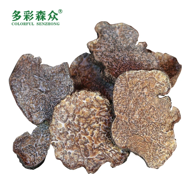 Оптовая продажа, китайские коричневые сухие ломтики диких трюфелей, Здоровые черные трюфели Song lu из пищевых грибов