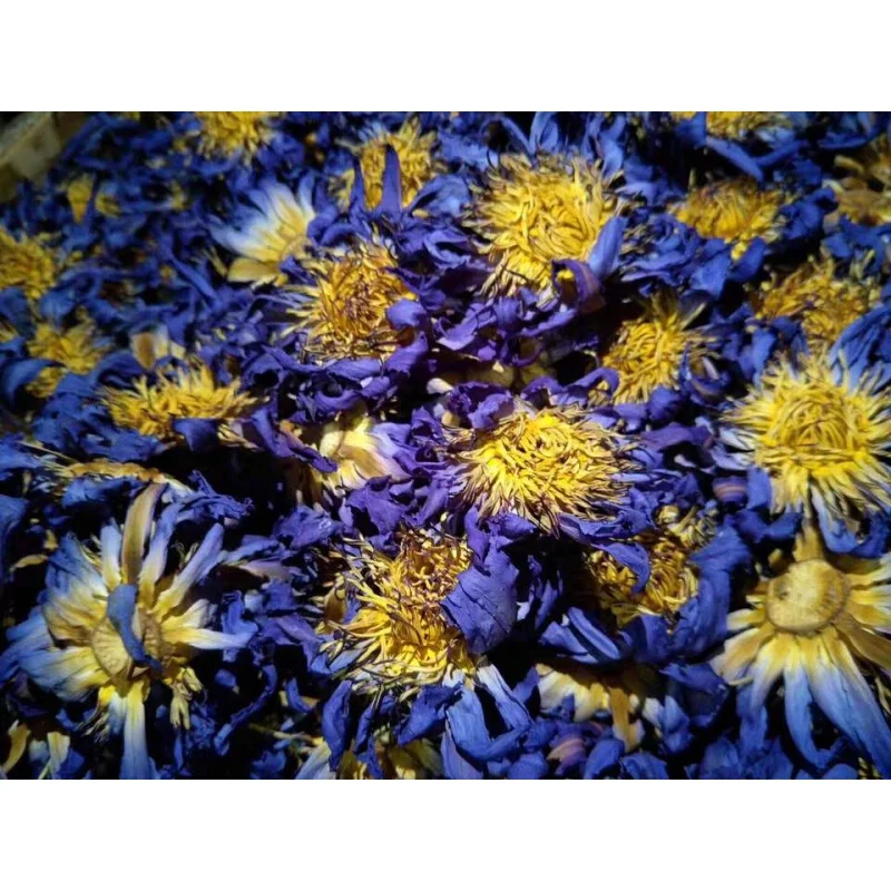 100% Natural High Quality Herbal Lan Lian Hua tea Dried Blue Lotus Flowers Tea