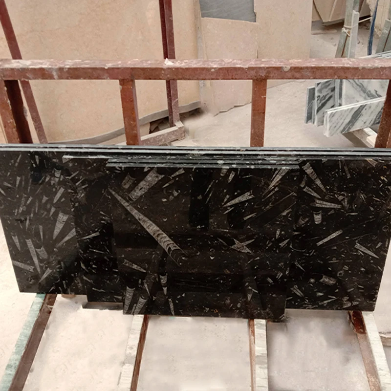 Creative Stone Slab Conch Fossil Black Marble slabs white pattern Black Marble slab for bathroom countertop