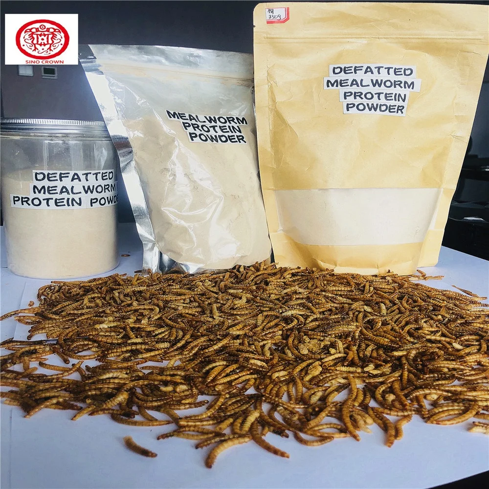 Bulk Sale Mealworm Protein Powder Like Cricket Flour as Supplement Sport Nutrition China Qingdao White Powder FISH MEAL Dried