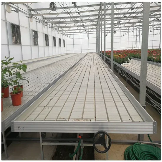 Hydroponic Growing system 4 x 8 inch Farming Grow trays ebb and flow rolling benches