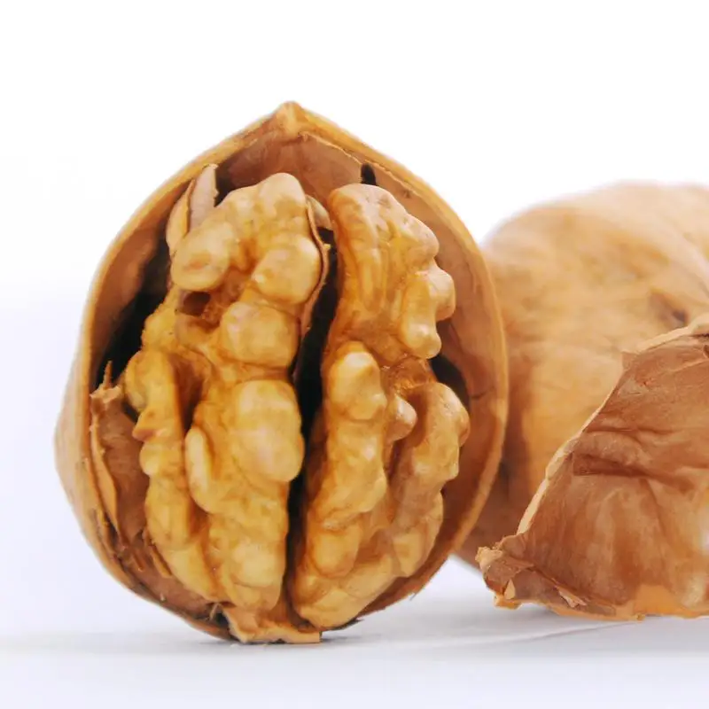 Pure natural walnut tree, selected walnut meat, high protein walnut