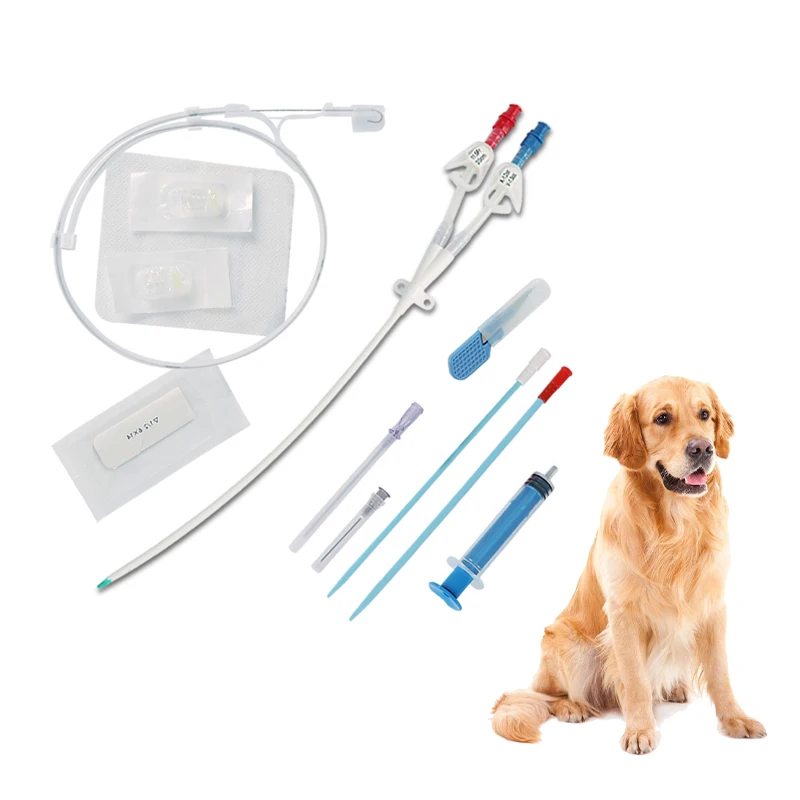 Double Lumen Catheter Kit for Veterinary Hemodialysis Hot Sale Triple Lumen Dialysis Catheter Reliable Medical Temporary