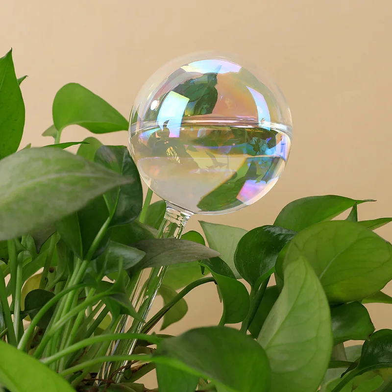 Glass automatic watering device ball watering device travel plant fleshy watering device house hold green planting soil