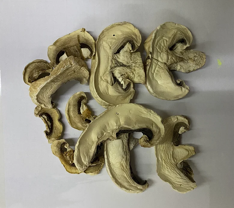 
Wild Dried Funghi Porcini Mushrooms Slices in Bulk Pack 