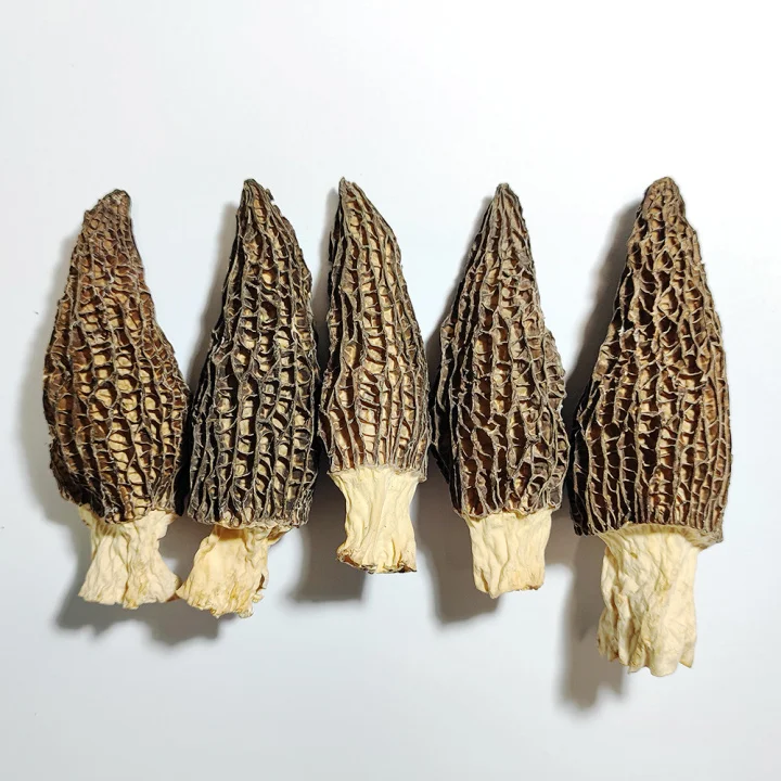 New Products 2022 Agriculture Buyer Favorite Edible Reasonable Morels Mushroom Price Of Morchella Mushroom