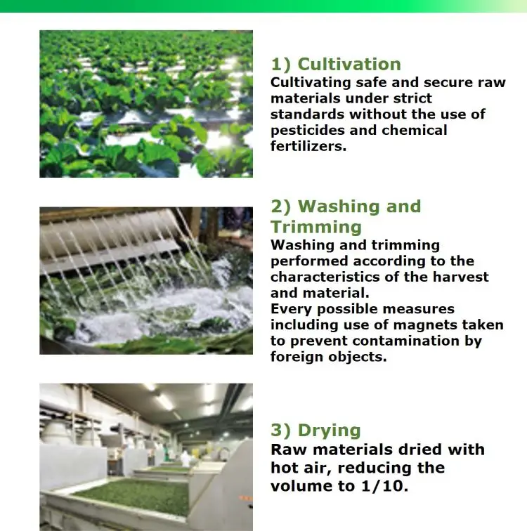 Фруктовые овощные ингредиенты мгновенный безалкогольный напиток Зеленый сок