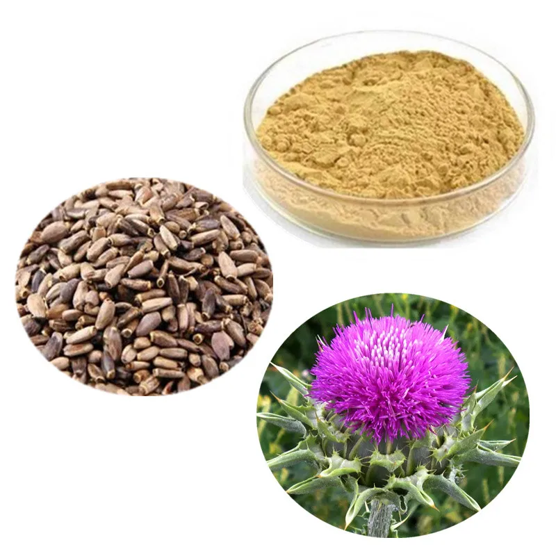 
Cosmetic Plant GMP Certified Water Soluble Bulk DAB10 80 Silymarin Food Supplement Seed Organic Powder Milk Thistle Extract 
