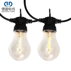 Low Voltage Outdoor Waterproof Belt Garden Wedding Party Led Festival String Light