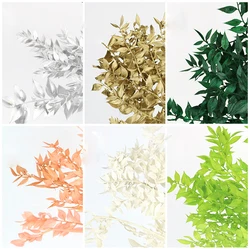 Yunnan Concise style Natural green flower Preserved Ruscus leaves for home decoration