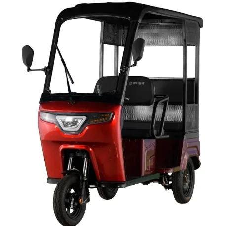 Leisure Electric Tricycles with roof for elderly 60V 800W