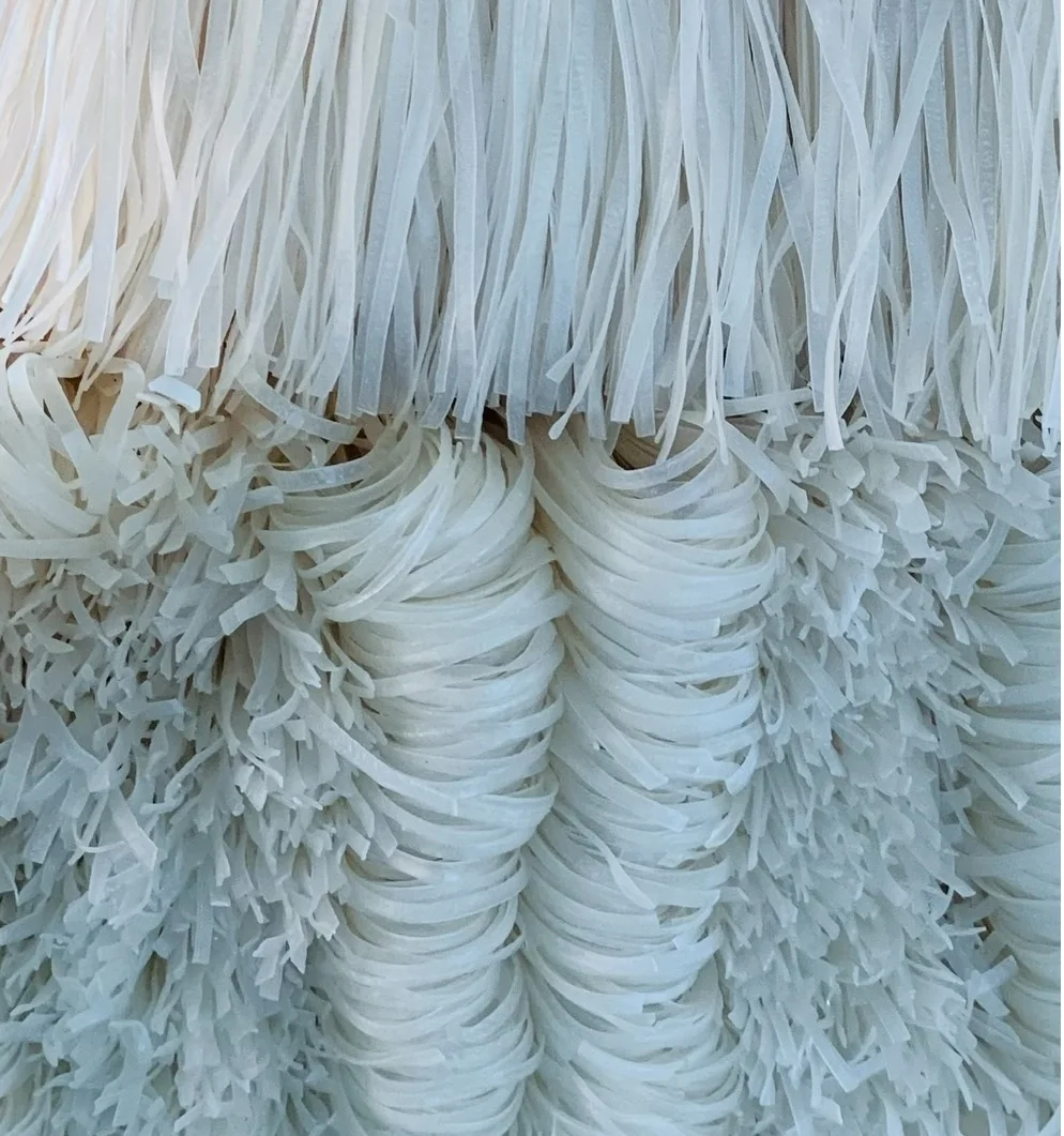 High quality Pho Vietnam rice vermicelli - Dried Rice Noodles with 100% natural 4mm - Hot sale from Vietnam