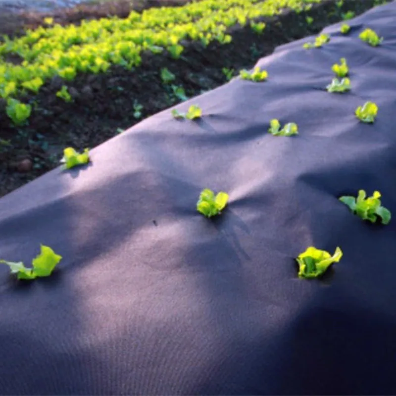 2022 17gsm white or green anti uv 100%pp virgin pp nonwoven for agriculture  plant frost protection fleece