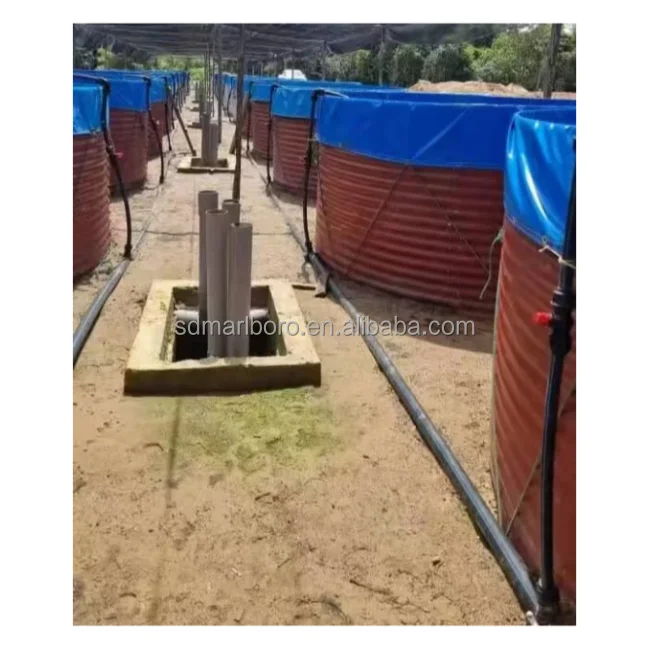 Fish Farming Equipment Tarpaulin Fish Pond Economic Hot Dip Galvanized Steel Koi Tilapia Fish Farming Pond