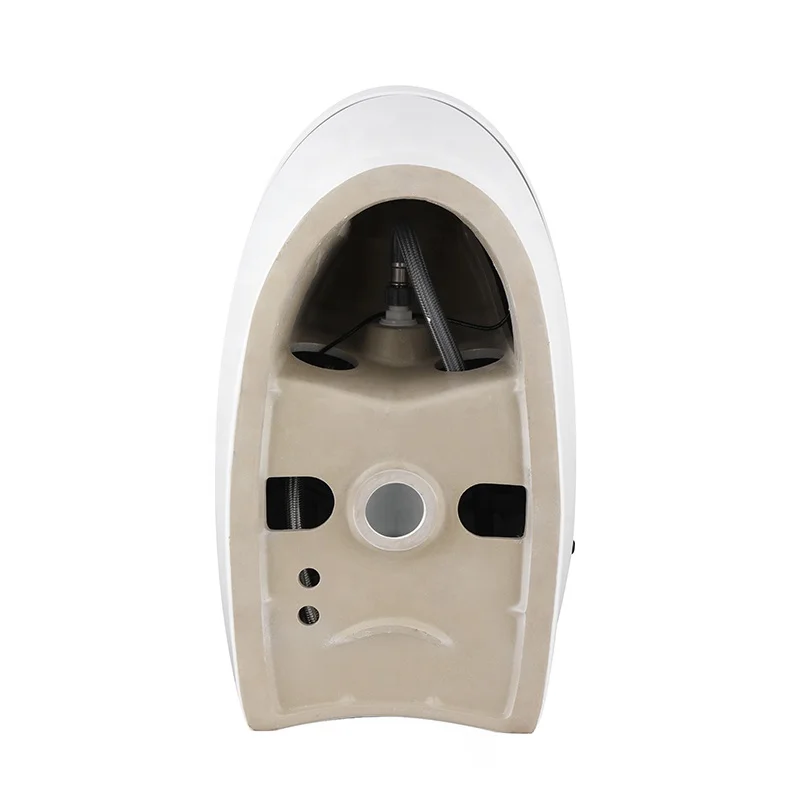 Electric Smart Intelligent Toilet Smart Bidet Wc Automatic Ceramic Bathroom Eplo Smart Toilet