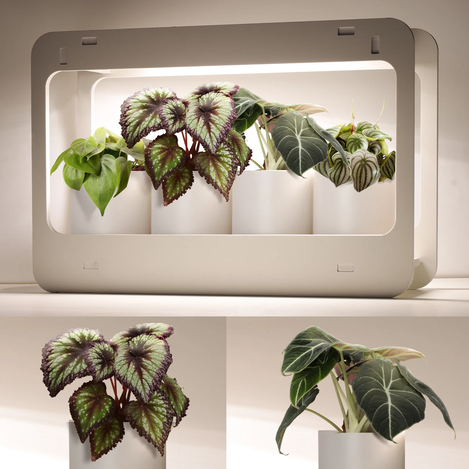 Indoor garden plant grow light 14W automatic full spectrum timer indoor herb grow kit led herb garden led grow light kit