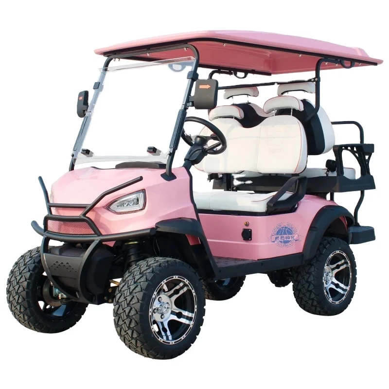 New Energy Electric Golf Cart Buggy 2-Seater Metal Vehicle with Golf Trolley Accessory 48V/72V Battery Options DOT Certified