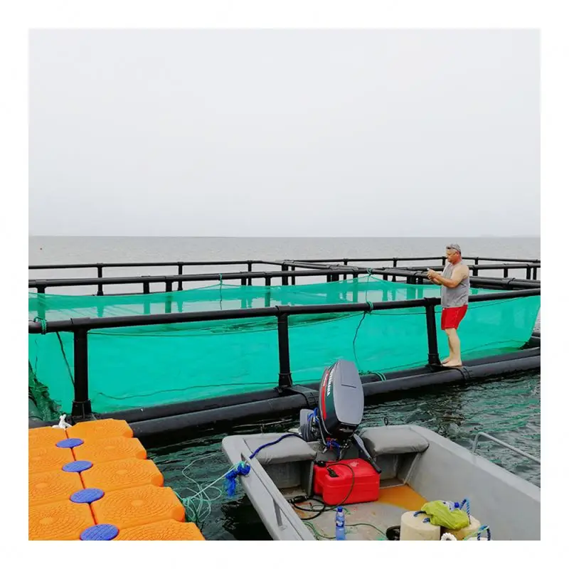 Supply Ocean Offshore Aquaculture Crab Pot Eel Fyke Net For Sale