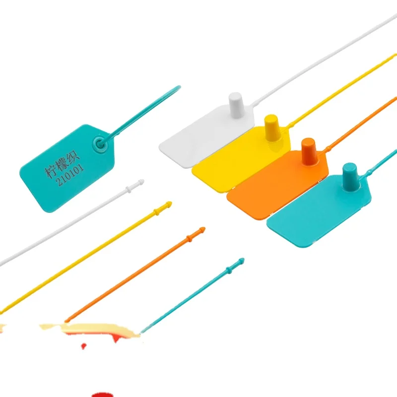 Custom Logo Security Seal Costume Brand Clothing Bags Hat Anti Theft Hang Tag Plastic Padlock