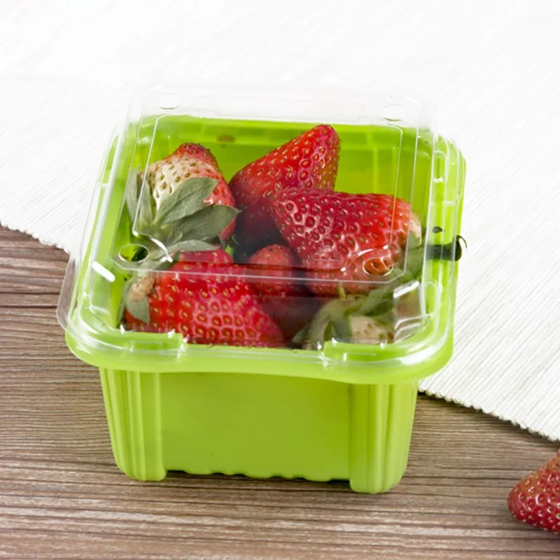 Supermarket Eco-Friendly Recyclable PET Plastic Food Container Clear Embossed Salad Fruit Box Packaging