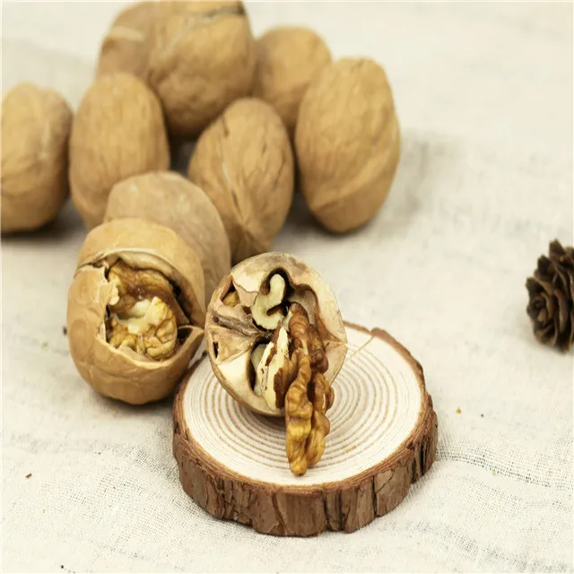 2021 New Crop Harvest Walnut/Walnut in Shell Food Chinese Export Inshell Shelled