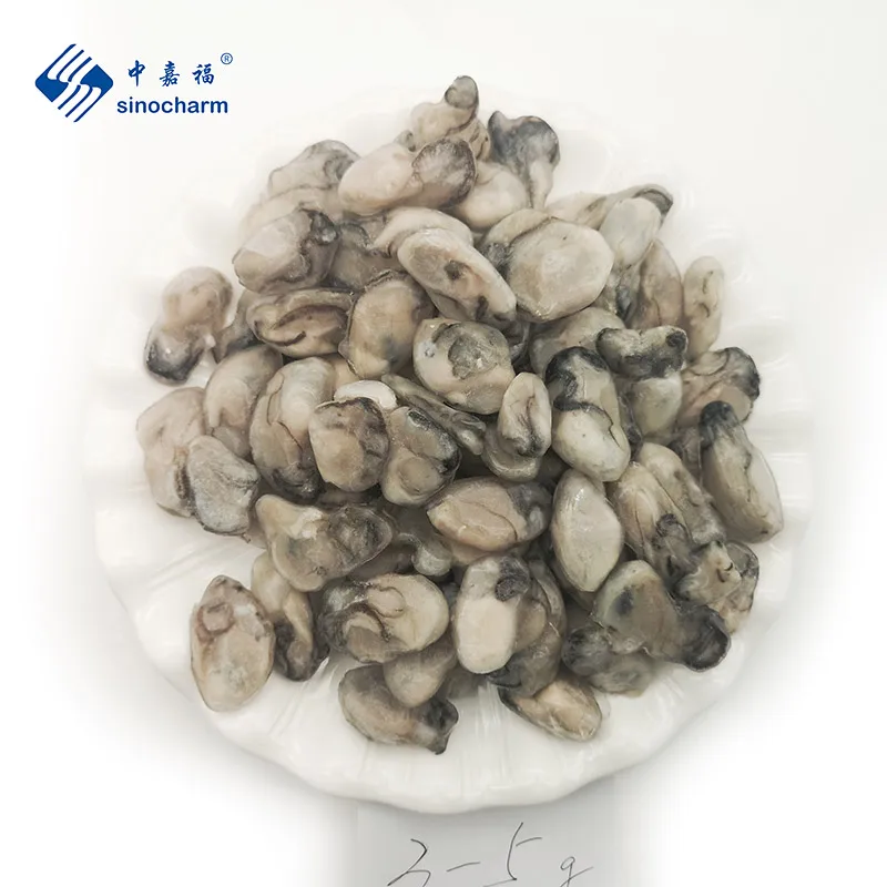 Seafood Oysters Meat Without Shell Whole Frozen Oyster Meat