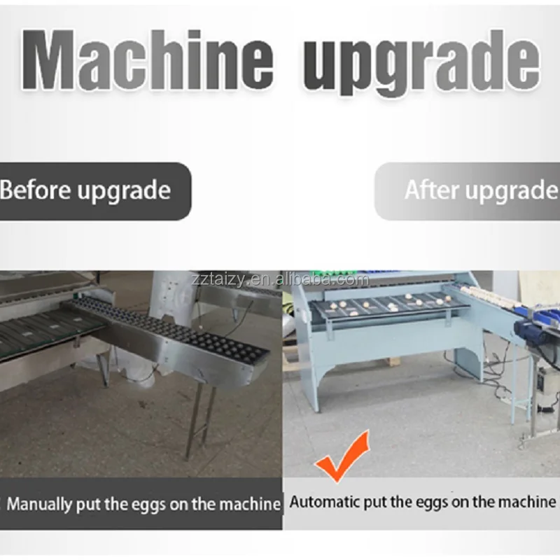Машина для сортировки яиц небольшой емкости 4000 штук в час с пятью уровнями