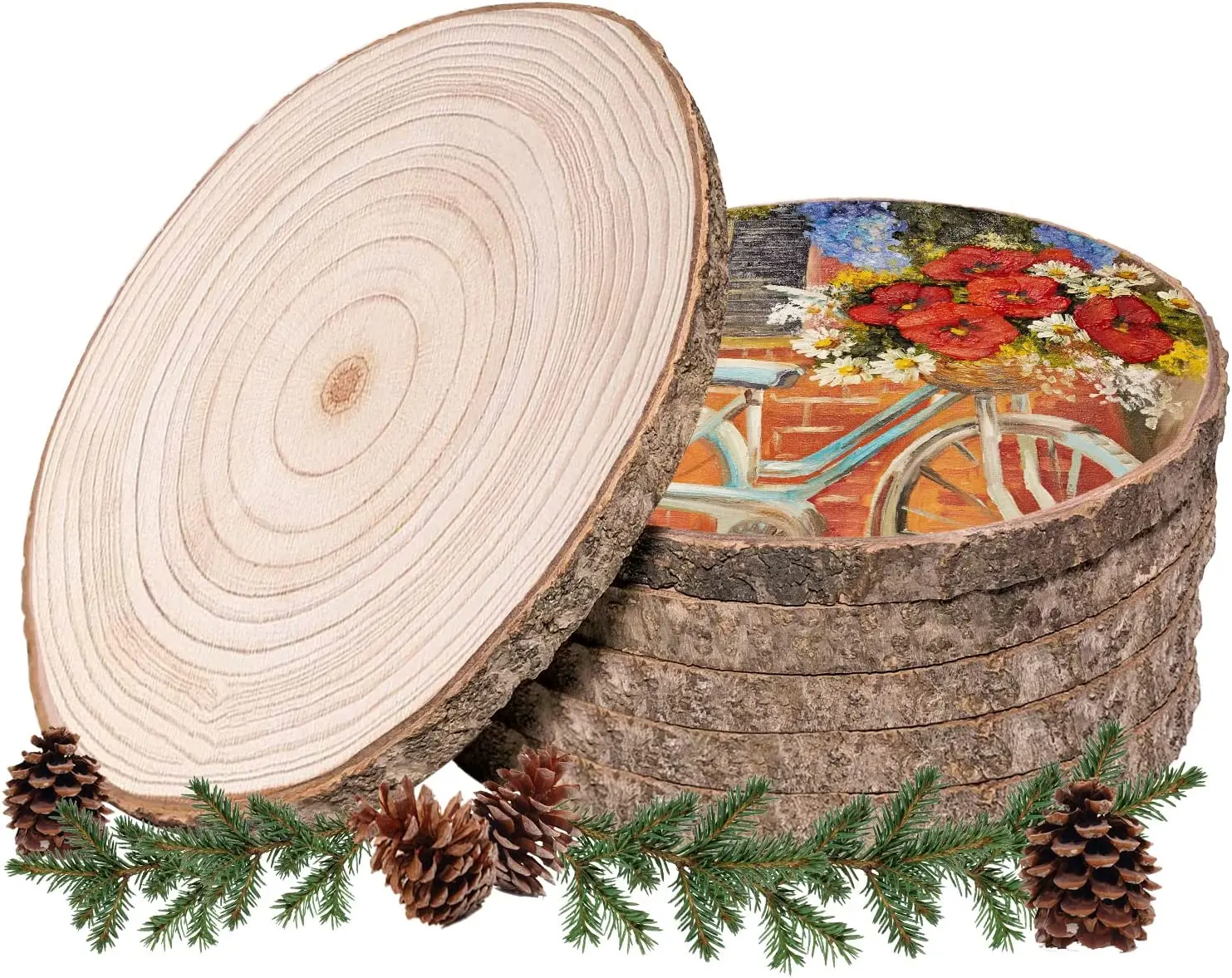 Unfinished Natural Wood Slices Full Size Undrilled Wooden Slices Circles Without Hole Tree Slice With Bark Christmas Decoration