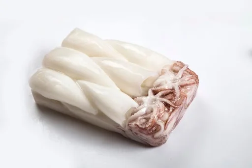 Замороженная туба для кальмара + тубус