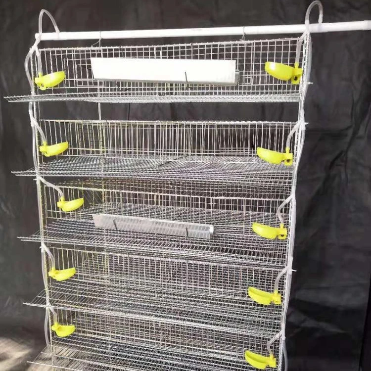 Автоматическое Оборудование Для перепелов и перепелов