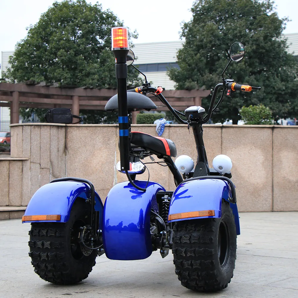 3 wheel trike CE citycoco electric electric scooter  for adult passenger and cargo carry  Electric tricycle