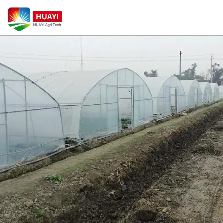 Hot Galvanized Steel Frame Agricultural Single Span PE/PO Film Plastic Tunnel Greenhouse For Tomato Vegetables Growing