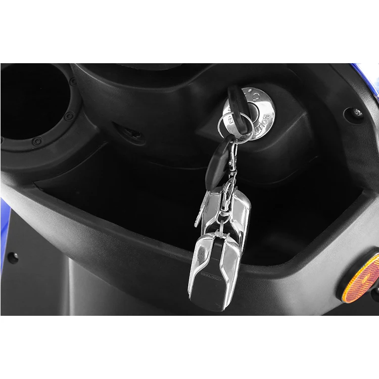 Electric 3 Wheel Trike Scooter Motorcycle Tricycle 2 Seat Electric Trikes 48V 600W Tricycles Foot Hand Brake