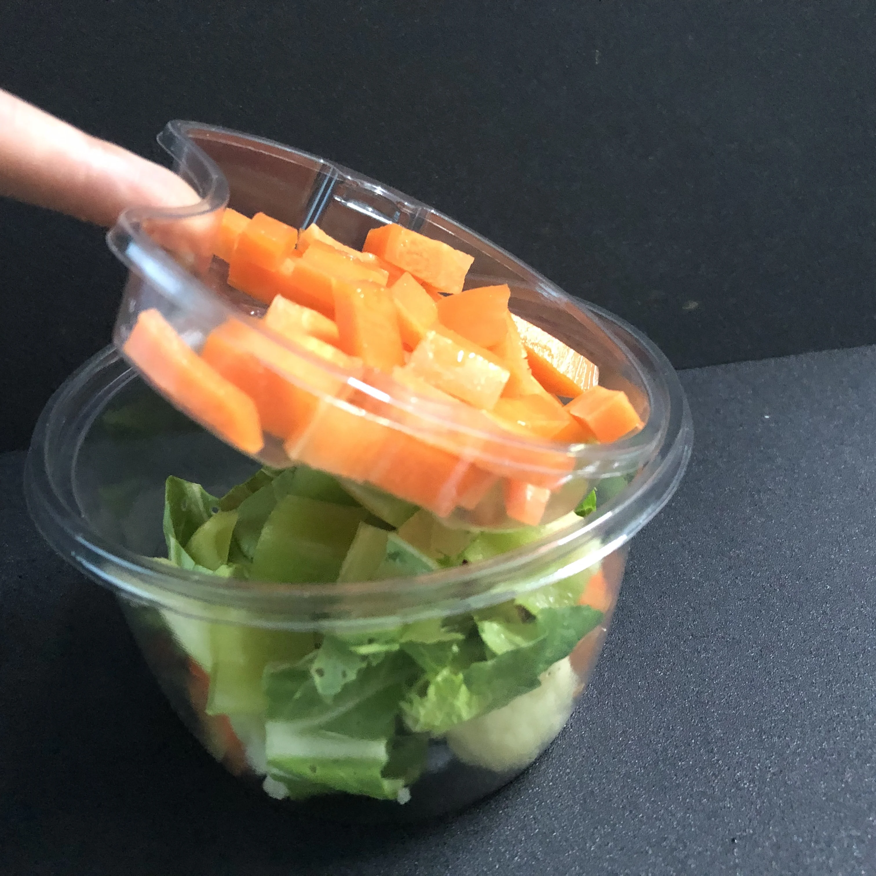 disposable double-deck transparent blister Plastic salad unhinged container for take away box R16OZ