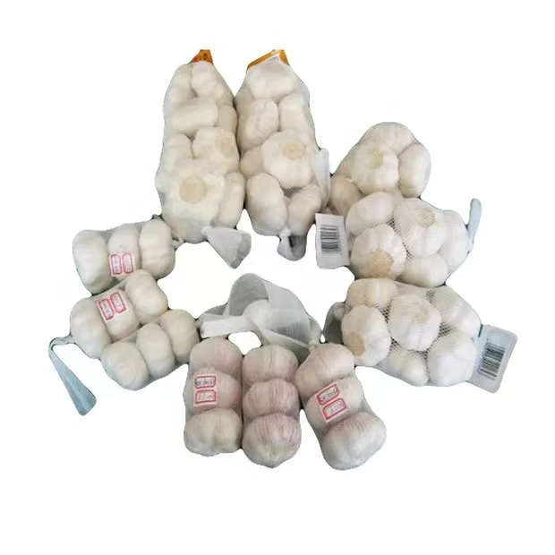 New Crop Best Garlic Export to Dubai, Indonesia, United Arab Emirates China Shandong Garlic Fresh Garlic Wholesale
