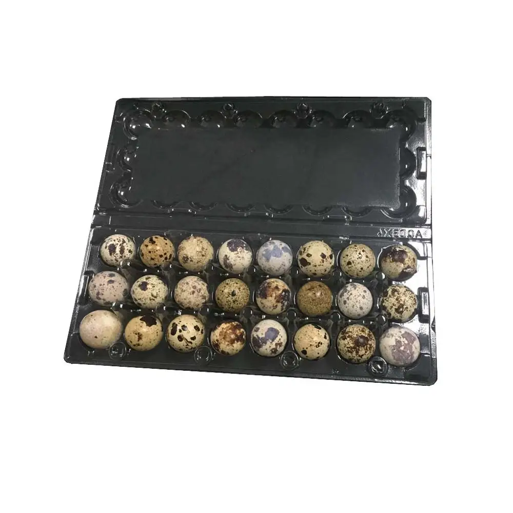 24 caves quail egg tray