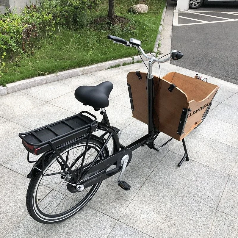 Электрический легкий грузовой велосипед Nexus с 7 скоростями, изготовленный из высококачественного городского велосипеда высокой проходимости/велосипеда/педикюра/грузового трицикла