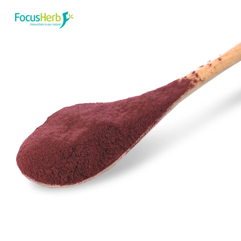 
FocusHerb Hibiscus Sabdariffa Juice Powder Hibiscus Powder 