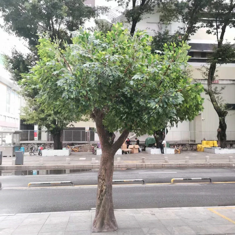 Fake Plastic Plants Decorative Ficus Trees Large Artificial Banyan Tree