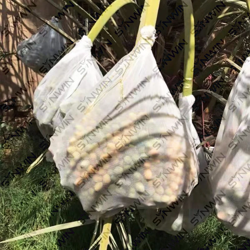 PP Spunbond Nonwoven Fabric Frost Protection Bags  for Greenhouse