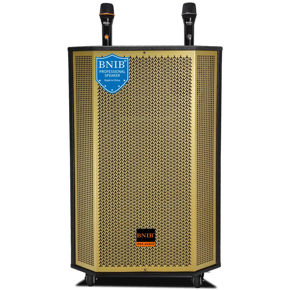 New 2022 Loa Bnib Powered Active Wooden Speakers 10 Inch Woofer Speaker Price Speaker Stage Wireless For Party