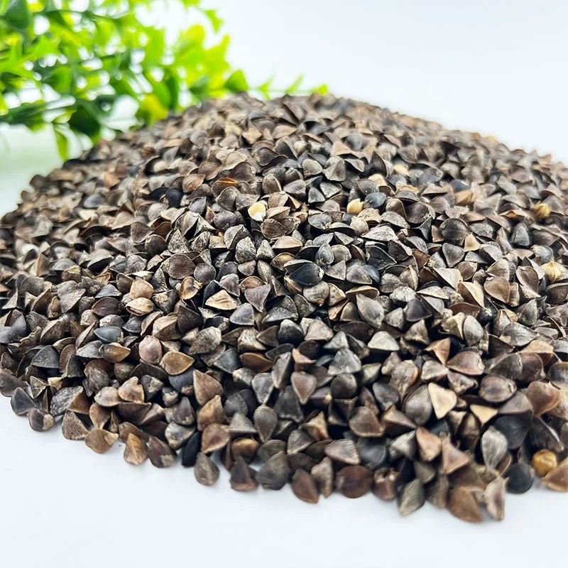 Горячая Распродажа гречиха с шелушкой для птичьей еды