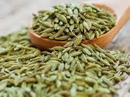 Premium Quality Organic Herbs and Spice Saunf for Coking for at Wholesale Price for export from India