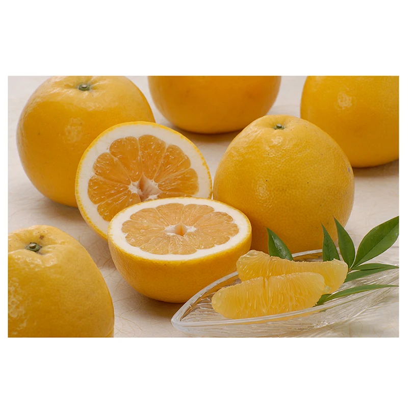 Japanese wholesale baby fresh fruit wholesale with good quality