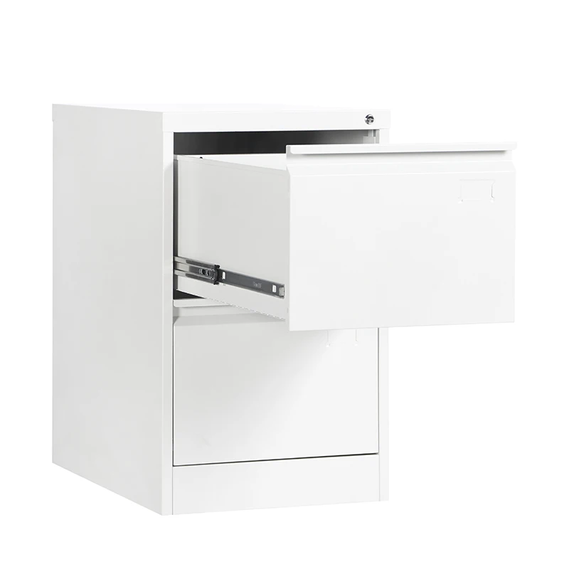 Office furniture 2 Drawer storage cabinets  F4/A4 folder Vertical 2 drawer steel filing cabinet