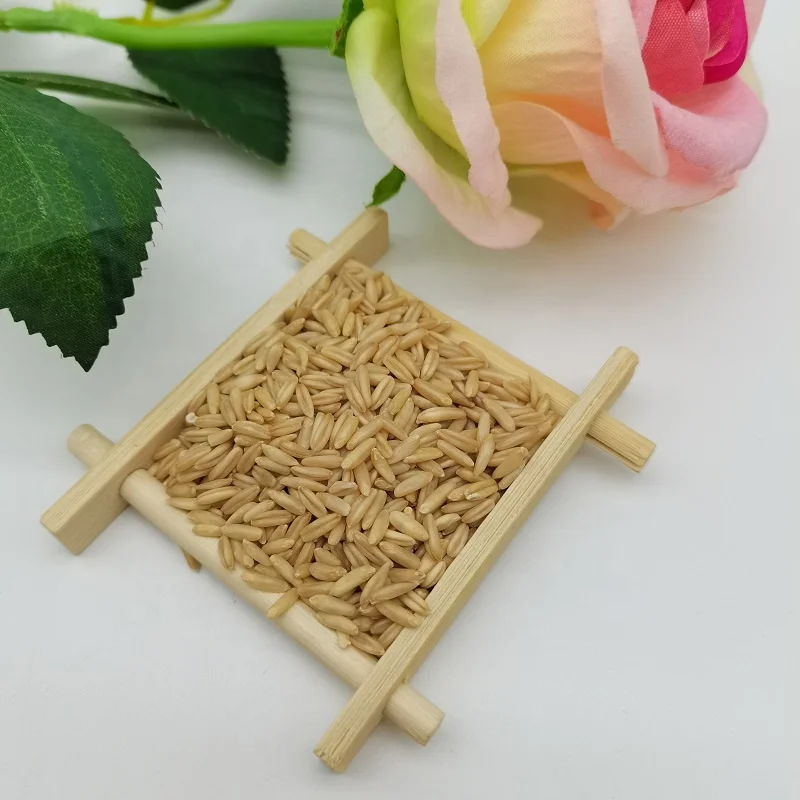 Высококачественный Овес 25/50 кг или оптом продукт из Китая для приготовления риса