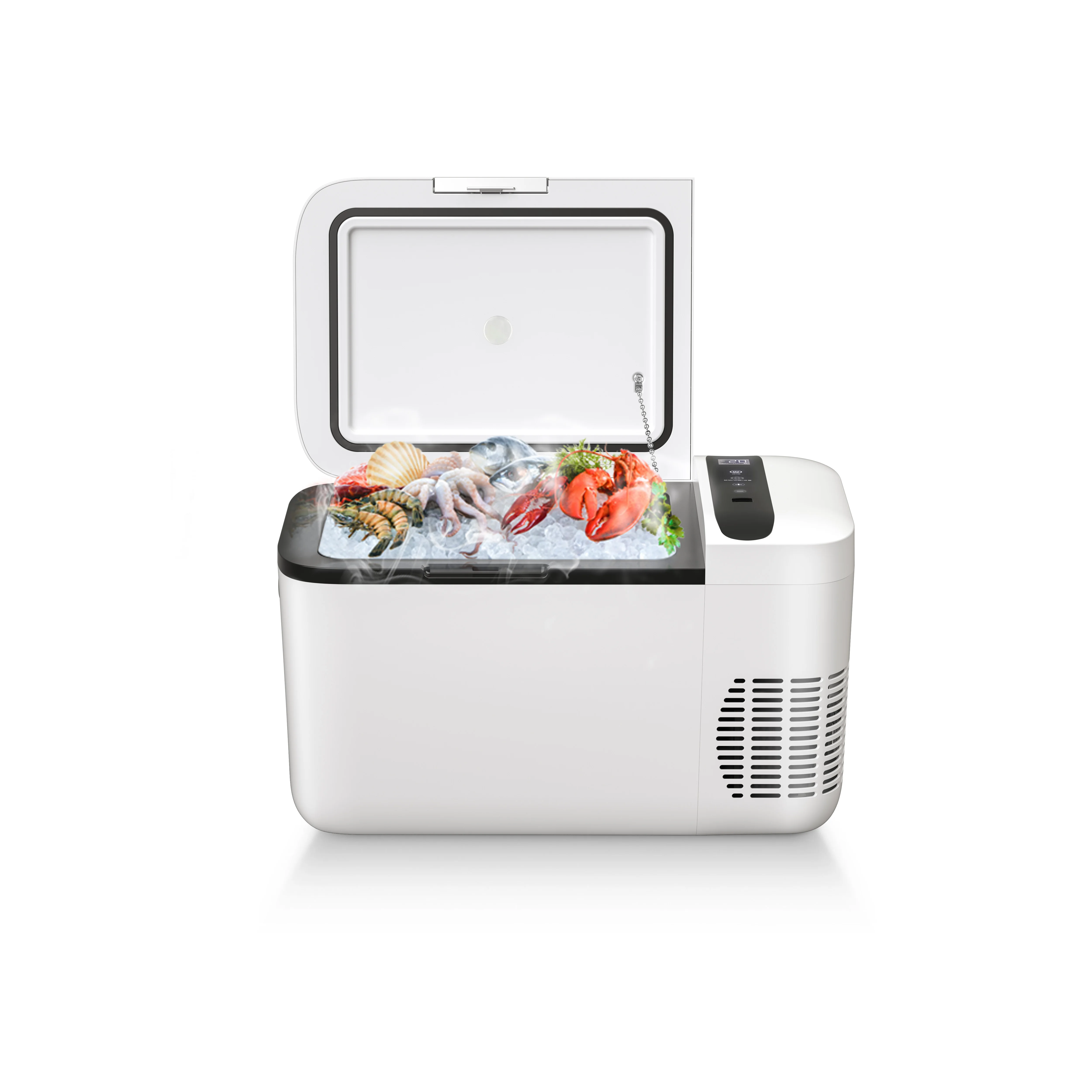 Factory Price 22L Portable Mini Fridge AC DC Compressor Freezer Electronic Cooler Camping Refrigerator Car Fridge