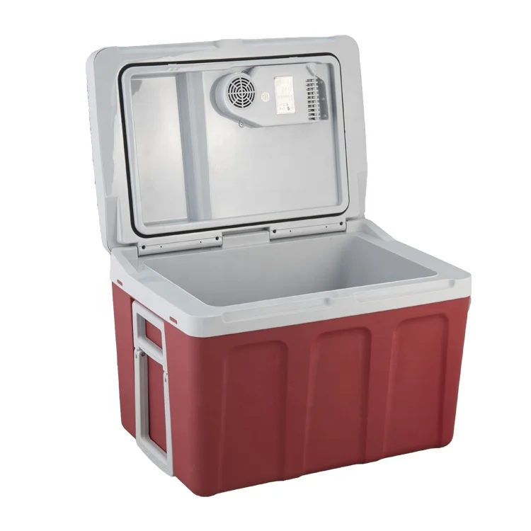 Hot Portable Electric Mini Thermoelectric 12v 240v Cooler and Warmer Box for Car