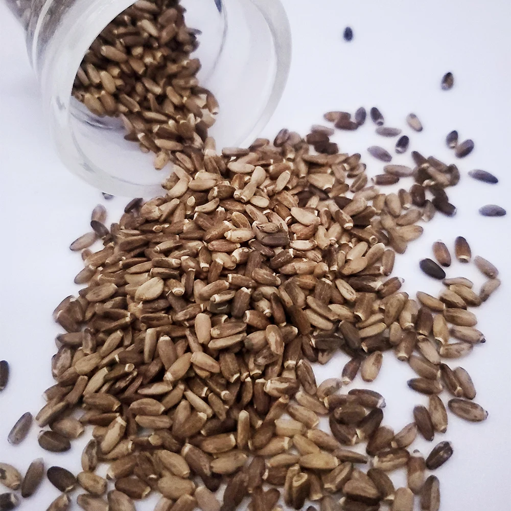 Hot sale 100% Organic Milk Thistle seeds