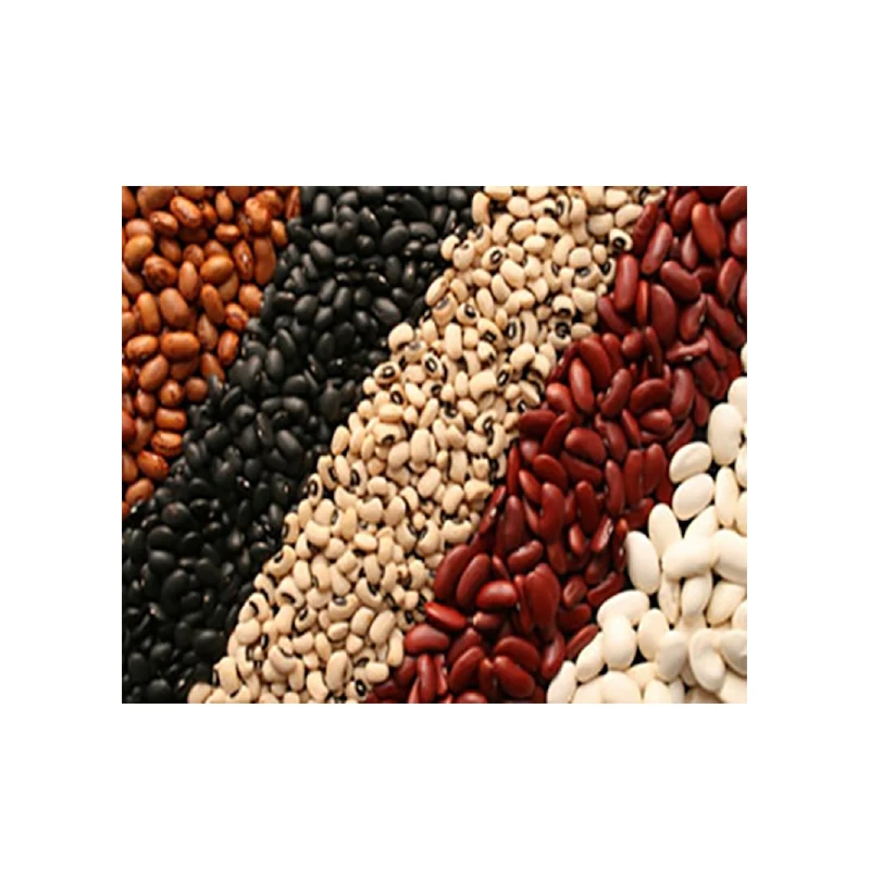 Exporter hot sal Carioca beans with high protein fiber Red oriental beans Black beans price provides balanced content B vitamins